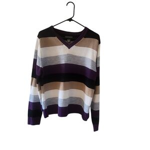Mountain Lake purple, tan, gray, & cream V neck striped sweater .